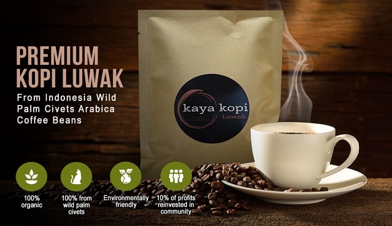 kopi luwak coffee brand