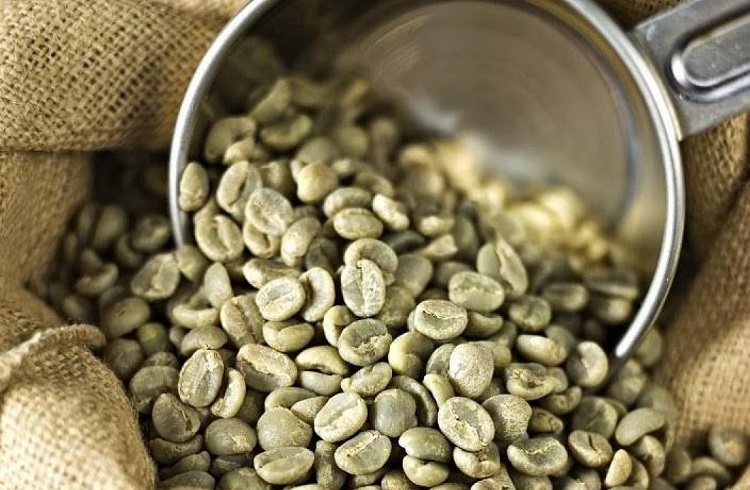 green, unroasted coffee beans