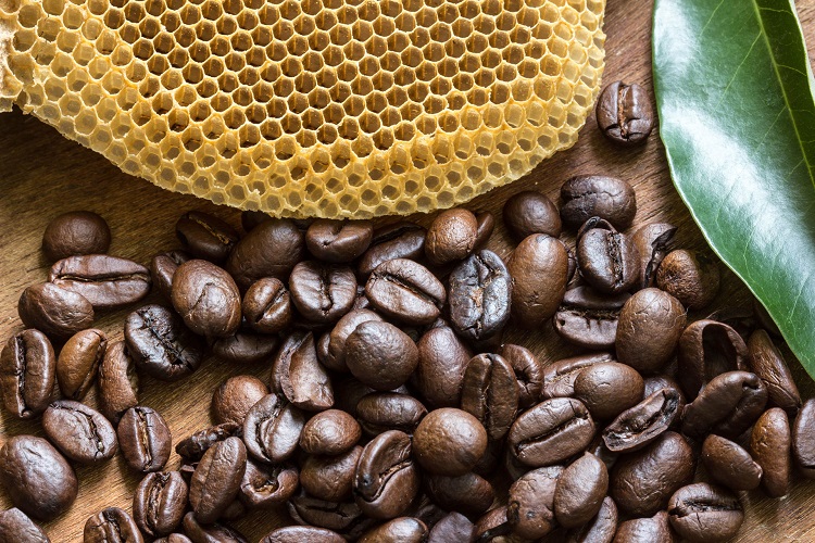 What Are the Various Types of Honey Processed Coffee Beans?