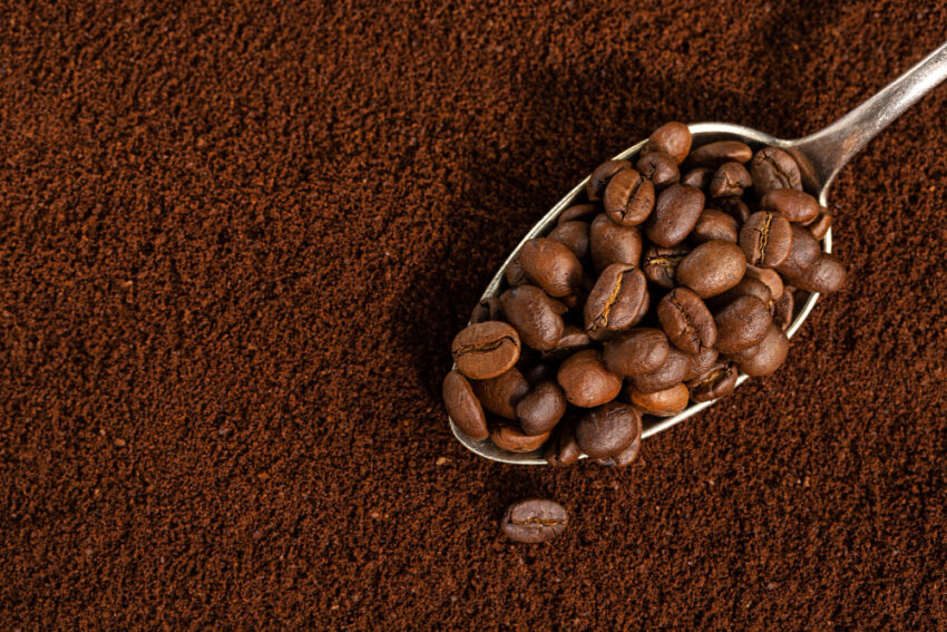 5 Best Organic Coffee Brands You Should Try 39