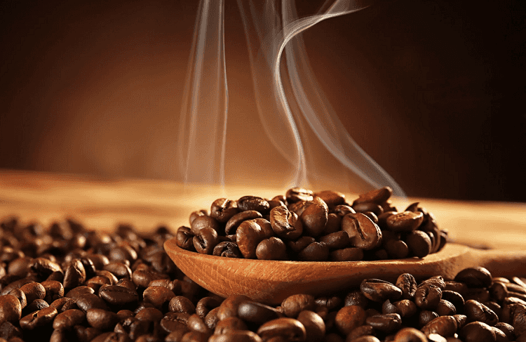 Should I use Ground or Bean Coffee?